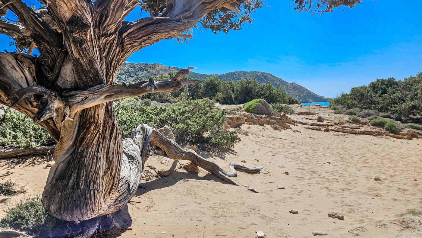 Agiannis beach in Gavdos