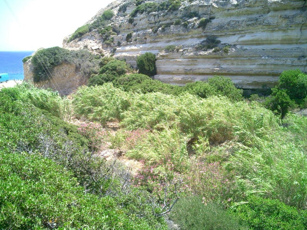 Agii Pantes Gorge