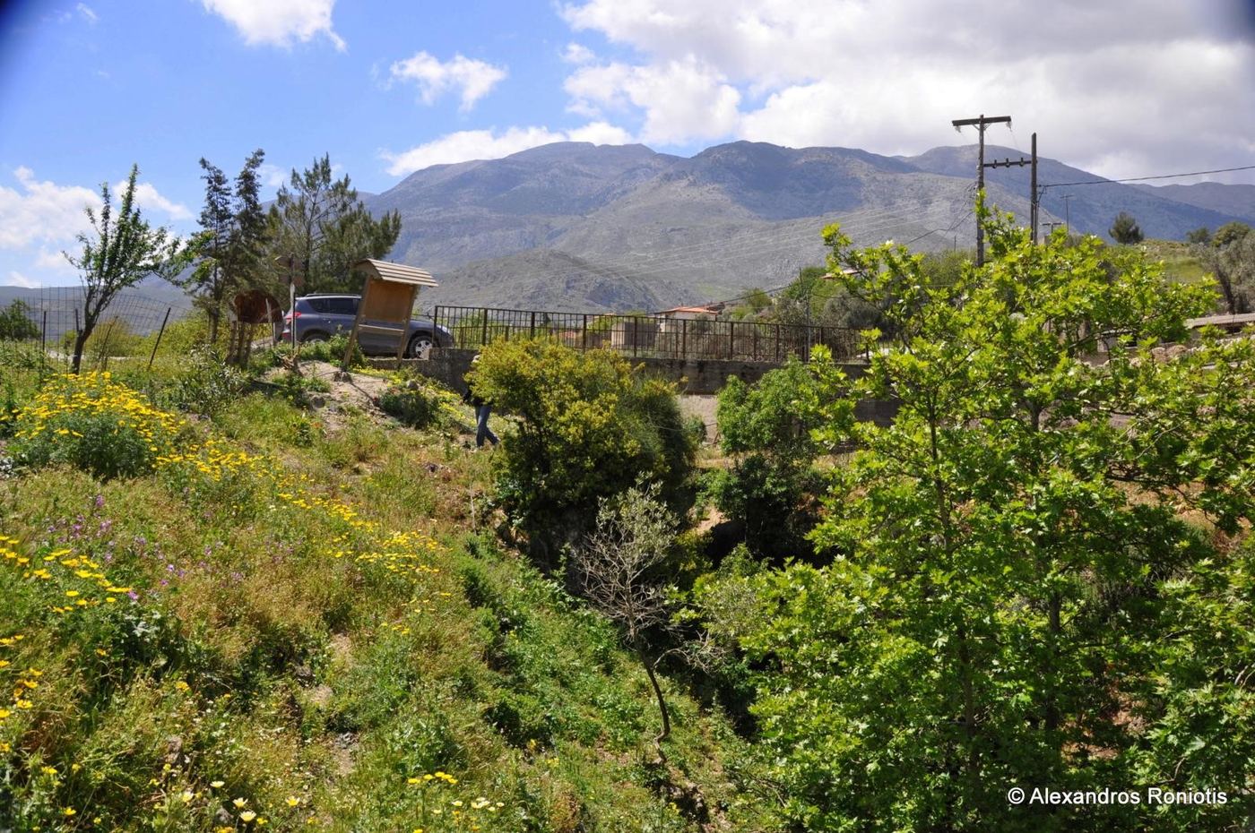 Agios Antonios Gorge at Asites