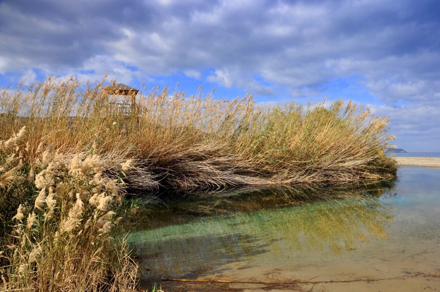 Almiros wetland
