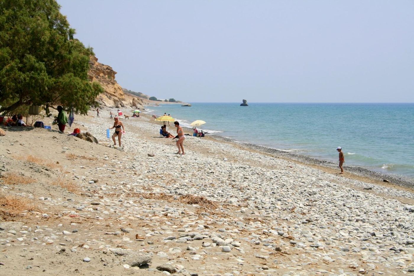 Keratokambos